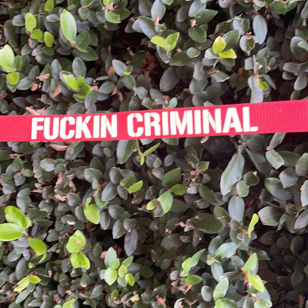 Y2K  LIFERBRAND, CRIMINAL - 🙈 F@^*!N CRIMINAL 🙈 Red Canvas Belt